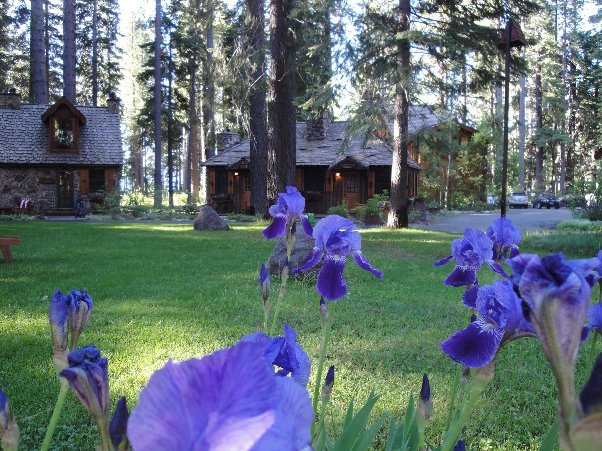 Cottage Inn At Lake Tahoe (Adults Only) Тахо-Сити Экстерьер фото